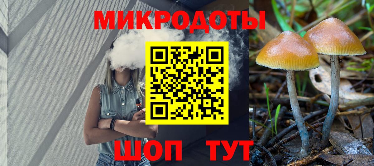 Петрозаводск  Псилоцибиновые грибы мухоморы  Вход с VPN 