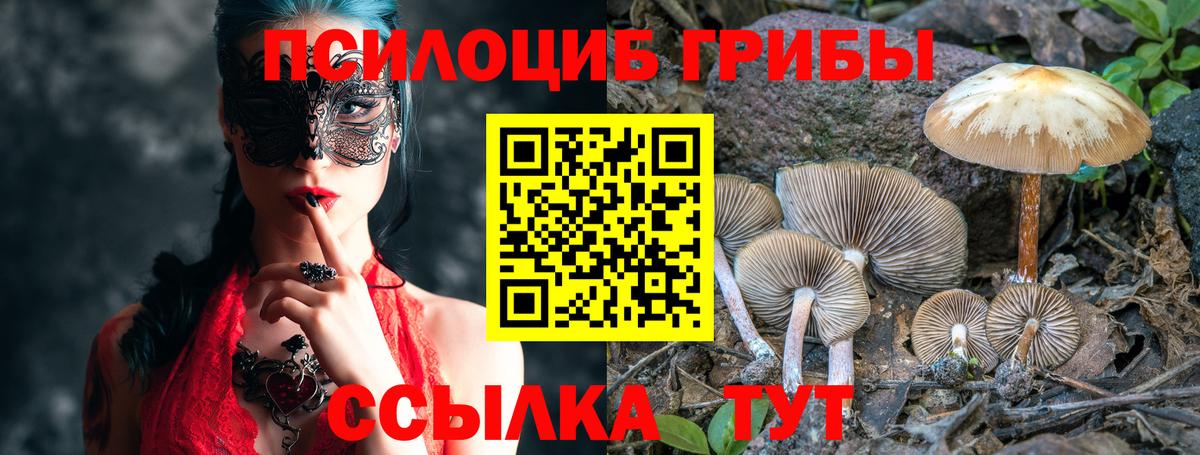 Галлюциногенные грибы GOLDEN TEACHER Петрозаводск